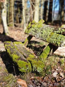 Frühjahr in der Rhön – Zeit für einen natürlichen Neustart
